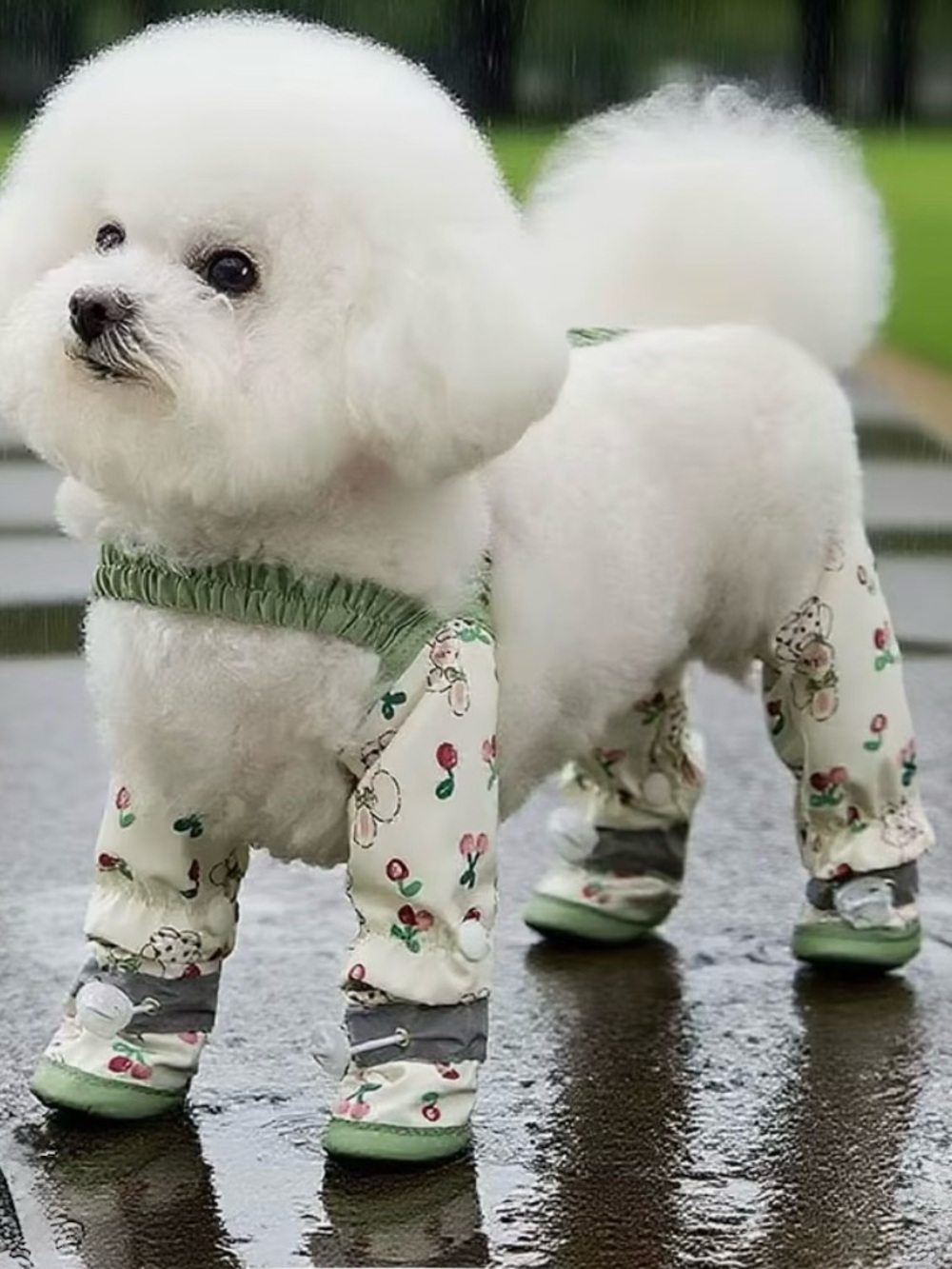Pet pants rain boots full leg size small